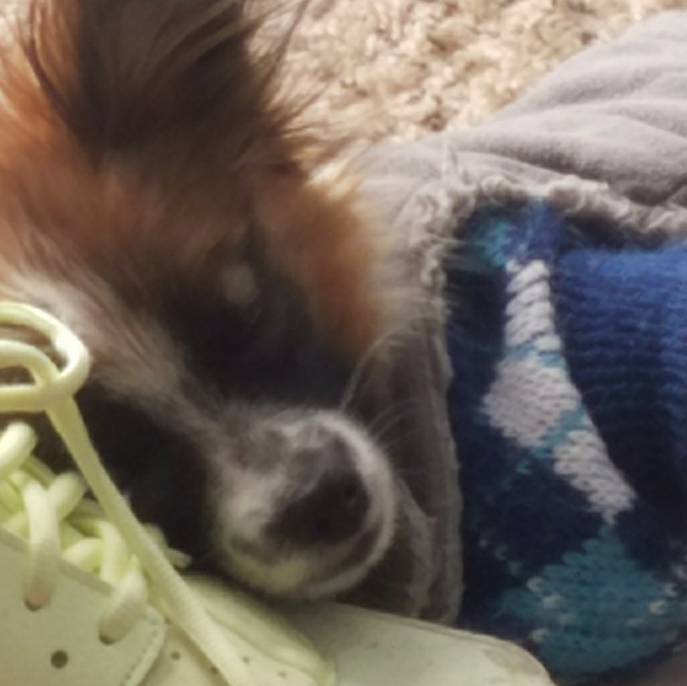 Make us an offer on Poshmark, u cant go wrong!